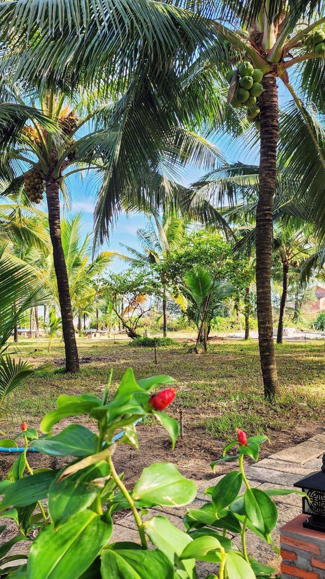 Zen Resort - Villa Beach- Garden Xom Tram 外观 照片